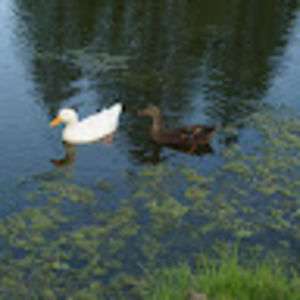 Meet your Posher, Gabriela